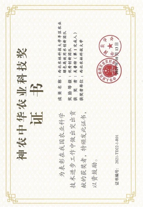 获奖证书
