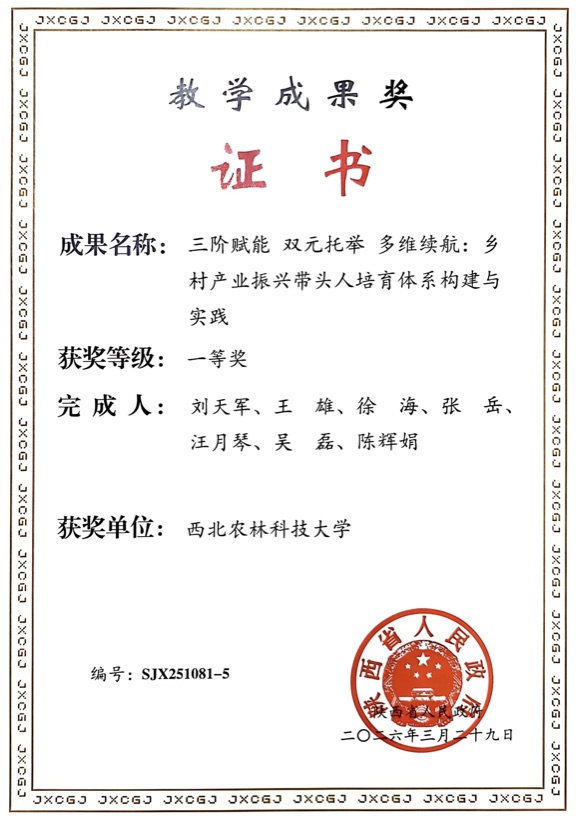 获奖证书