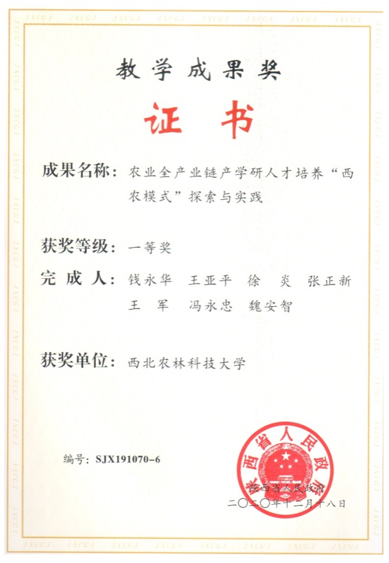获奖证书