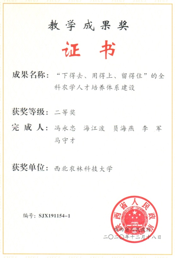 获奖证书